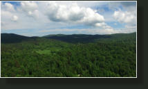 Gozdna ko�a Studeno