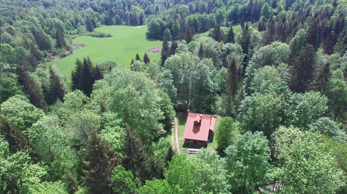 Gozdna koča Studeno