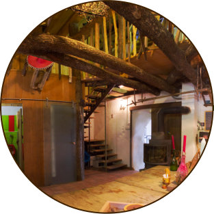 Gozdna koča Studeno