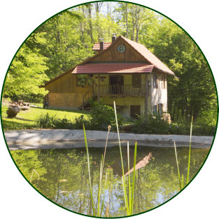 Gozdna koča Studeno