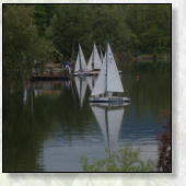 AKTIVNOSTI  V OKOLICI GOZDNE KOČE STUDENO