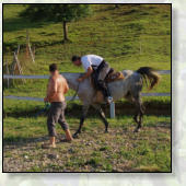 AKTIVNOSTI  V OKOLICI GOZDNE KOČE STUDENO