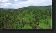 Gozdna koča Studeno