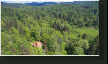 Gozdna koča Studeno